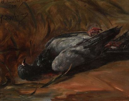 PIGEON/ Nature morte

Toile, traces de datation...