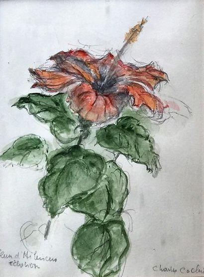 CHARLES CACHIN (XX)

Fleur d’hibiscus, éclosion

Aquarelle...