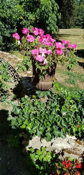 Paire de grands vases Medicis en fonte