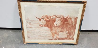 Léon JAYEZ ( 1878-1957 ), attelage de boeufs,...