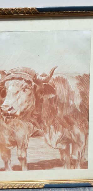 Léon JAYEZ ( 1878-1957 ), attelage de boeufs,...