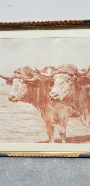 Léon JAYEZ ( 1878-1957 ), attelage de boeufs,...
