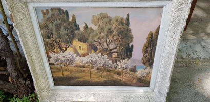 WALDRAFF (?) , Paysage du Sud de la France,...