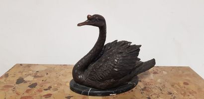 Cygne 

Sculpture en bronze à patine médaille,...