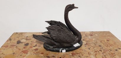 Cygne 

Sculpture en bronze à patine médaille,...