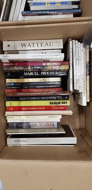 Un carton de livres d'art et divers