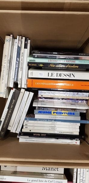 Un carton de livres d'art et divers