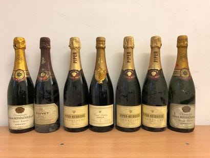 Lot de 21 bouteilles de champagnes Non Millésimé

dont

Alfred...
