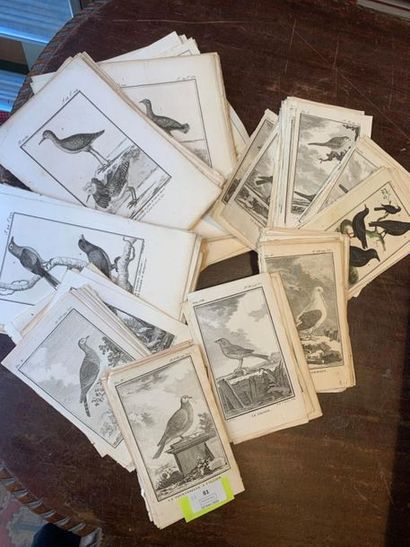 Buffon - un fort lot de gravures XVIIIe et...