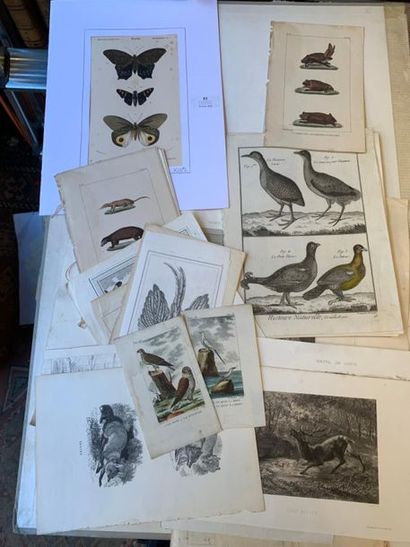 Un lot de gravures XVIIIe et XIXème 