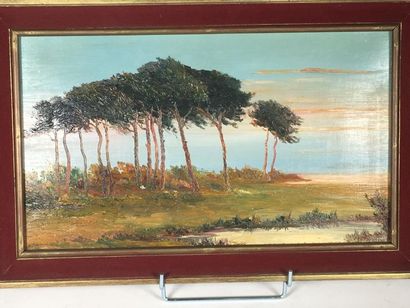A CHASTAND 
Paysage de bord de borde d emer
Huile...