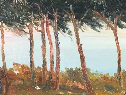 A CHASTAND 
Paysage de bord de borde d emer
Huile...