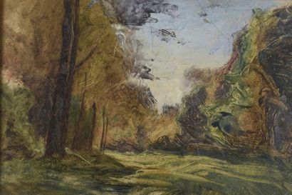 Paysage
Huile sur papier
Encadré
22,5 x 35...