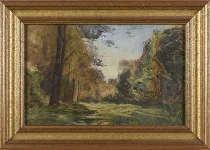 Paysage
Huile sur papier
Encadré
22,5 x 35...