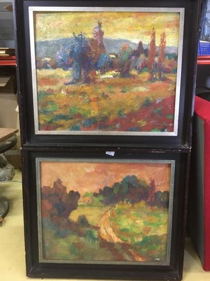 BONNAMOUR
deux paysages
49 x 59 cm
huile...
