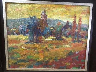 BONNAMOUR
deux paysages
49 x 59 cm
huile...