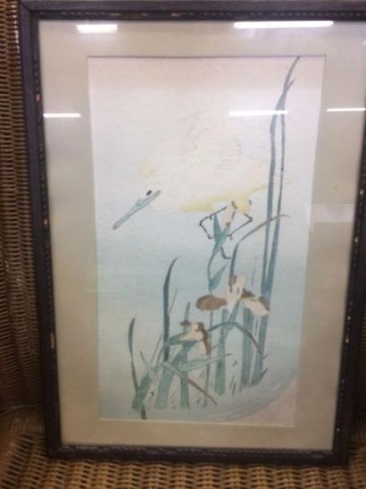 Japon
Oiseau dans les roseaux
Aquarelle
38...