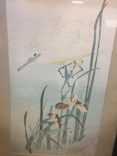 Japon
Oiseau dans les roseaux
Aquarelle
38...