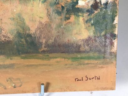 Paul SURTEL (1893-1985) 
Paysage de Porvence,...