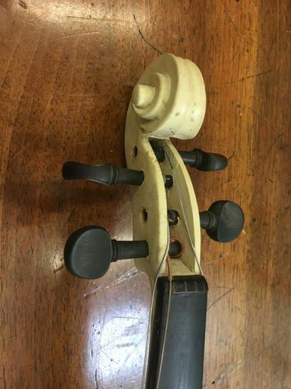 Violon