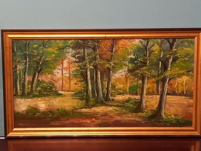 DESTREE paysage huile sur toile
49 x 98 ...