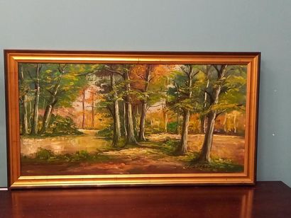 DESTREE paysage huile sur toile
49 x 98 ...