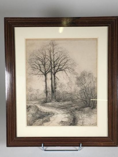 Charles DELACOMMUNE
Fusain
36 x 28 cm
Daté...