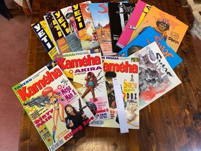 Un lot de revues diverses, dont Swof, Yéti,...