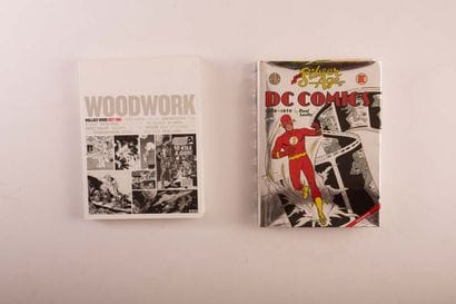 LEVITZ (Paul): The silver age of DC Comics...