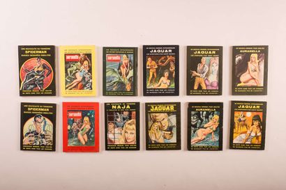 DIABOLIK petit format souple.



1ère série (1966-1969)...