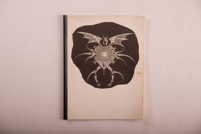 DRUILLET: ELRIC the Necromancer.



A set...