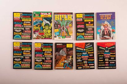 Un lot de petits formats souple pour adultes :...