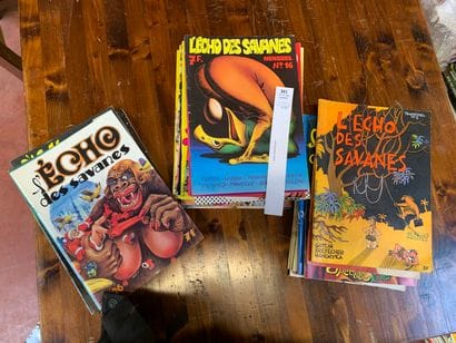 L'écho des Savanes. Un ensemble de 45 numéros...