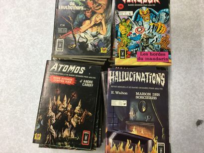 VENGEURS 3 numéros



Avec



HALLUCINATIONS...