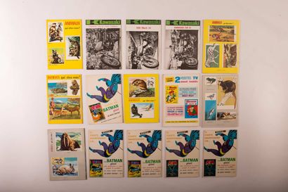 LONG RIFLE éditions MonJournal



5 albums...