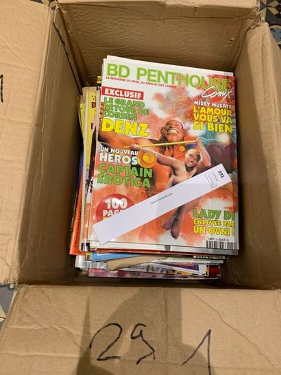 Un carton avec un fort lot de revues diverses...
