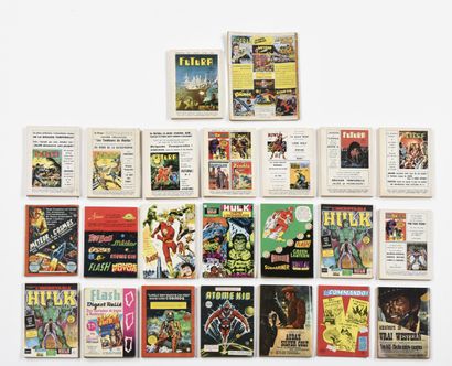 GREEN LANTERN 4 petits formats.



FUTURA...