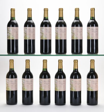 12 B COTEAUX DU LANGUEDOC CLOS SYRAH LEONE...