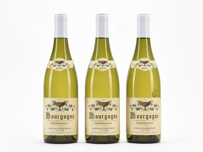 3 B BOURGOGNE CHARDONNAY Domaine Coche-Dury...