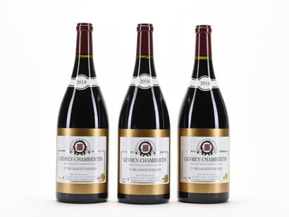 3 Mag GEVREY-CHAMBERTIN LAVAUX ST-JACQUES...