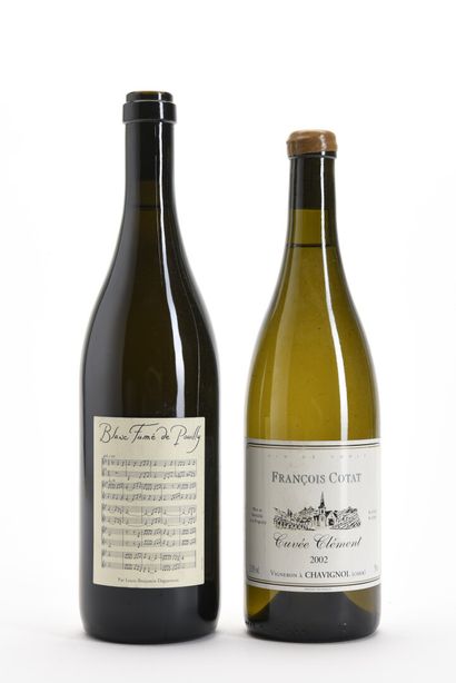 1 B BLANC FUMÉ DE POUILLY (s.c.) Domaine...
