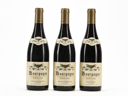 2 B BOURGOGNE PINOT NOIR Domaine Coche-Dury...