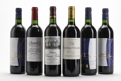 2 B CHÂTEAU VIEUX ROBIN BOIS DE LUNIER Médoc...