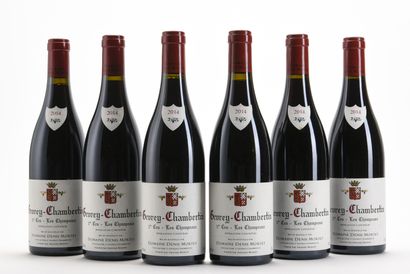 6 B GEVREY-CHAMBERTIN LES CHAMPEAUX (1er...