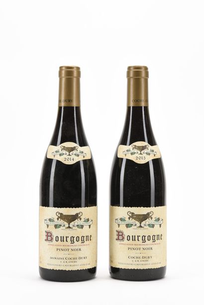 1 B BOURGOGNE PINOT NOIR Domaine Coche-Dury...