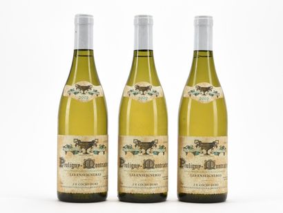 3 B PULIGNY-MONTRACHET LES ENSEIGNÈRES Domaine...