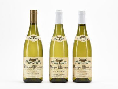 1 B PULIGNY-MONTRACHET LES ENSEIGNÈRES Domaine...