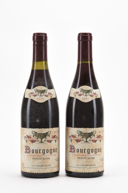 2 B BOURGOGNE PINOT NOIR (1 e.l.a.) Domaine...
