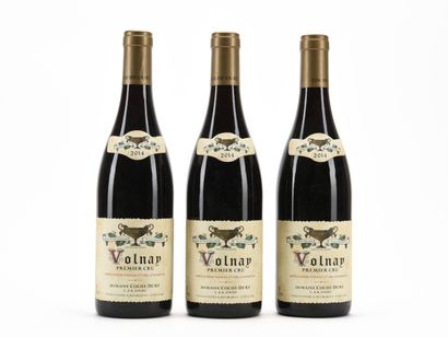 3 B VOLNAY (1er Cru) Domaine Coche-Dury ...