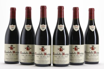 6 B CHAMBOLLE-MUSIGNY AUX BEAUX BRUNS (1er...